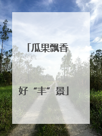 瓜果飘香 好“丰”景