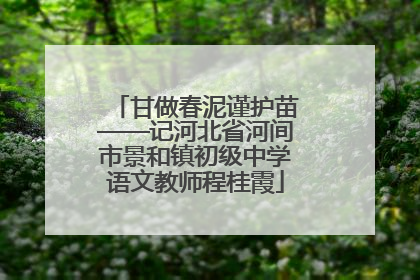 甘做春泥谨护苗——记河北省河间市景和镇初级中学语文教师程桂霞