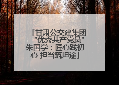 甘肃公交建集团“优秀共产党员”朱国学：匠心践初心 担当筑坦途