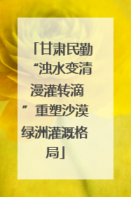 甘肃民勤“浊水变清 漫灌转滴”重塑沙漠绿洲灌溉格局