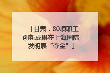 甘肃：80项职工创新成果在上海国际发明展“夺金”