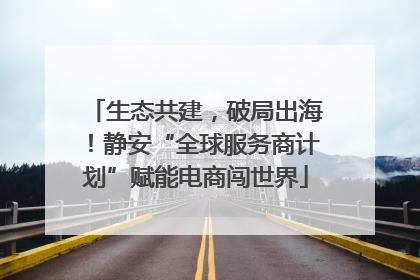 生态共建，破局出海！静安“全球服务商计划”赋能电商闯世界