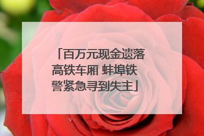 百万元现金遗落高铁车厢 蚌埠铁警紧急寻到失主