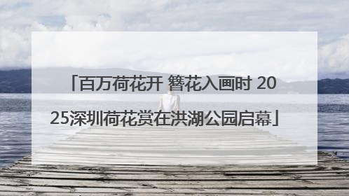 百万荷花开 簪花入画时 2025深圳荷花赏在洪湖公园启幕