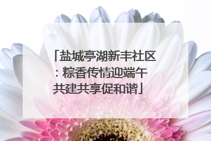 盐城亭湖新丰社区：粽香传情迎端午 共建共享促和谐