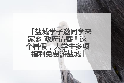 盐城学子邀同学来家乡 政府请客！这个暑假，大学生多项福利免费游盐城