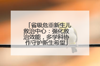 省级危重新生儿救治中心：强化救治效能，多学科协作守护新生希望