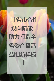 省市合作双向赋能 助力打造全省资产盘活益阳新样板