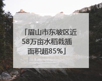 眉山市东坡区近58万亩水稻栽插面积超85%