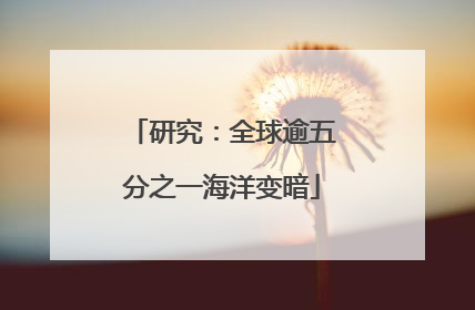 研究：全球逾五分之一海洋变暗