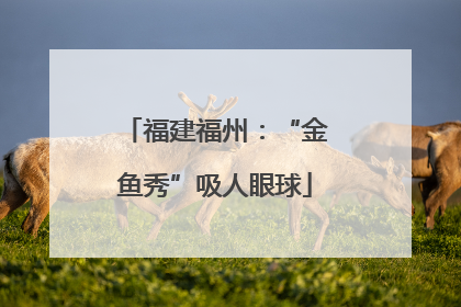 福建福州：“金鱼秀”吸人眼球