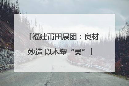 福建莆田展团：良材妙造 以木塑“灵”