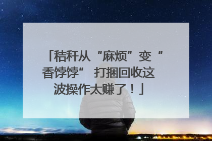 秸秆从“麻烦”变“香饽饽” 打捆回收这波操作太赚了！