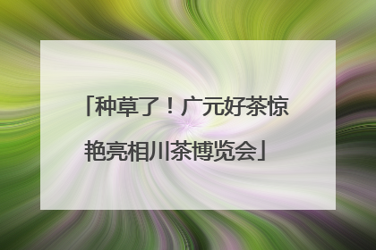 种草了！广元好茶惊艳亮相川茶博览会