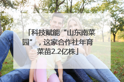 科技赋能“山东南菜园”，这家合作社年育菜苗2.2亿株