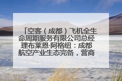 空客（成都）飞机全生命周期服务有限公司总经理布莱恩·阿格纽：成都航空产业生态完备，营商环境优势显著