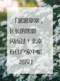 窸窸窣窣，长长的黑影一闪而过！北京有住户家中蛇出没