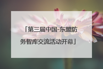 第三届中国-东盟防务智库交流活动开幕