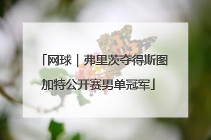 网球｜弗里茨夺得斯图加特公开赛男单冠军