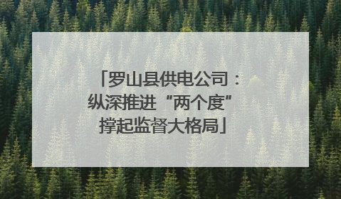 罗山县供电公司：纵深推进“两个度” 撑起监督大格局