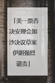 美一票否决安理会加沙决议草案 伊朗强烈谴责
