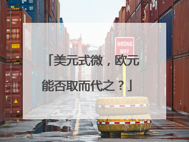 美元式微，欧元能否取而代之？