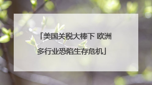 美国关税大棒下 欧洲多行业恐陷生存危机
