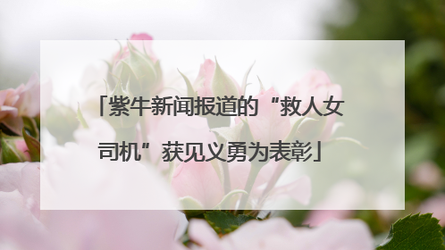 紫牛新闻报道的“救人女司机”获见义勇为表彰
