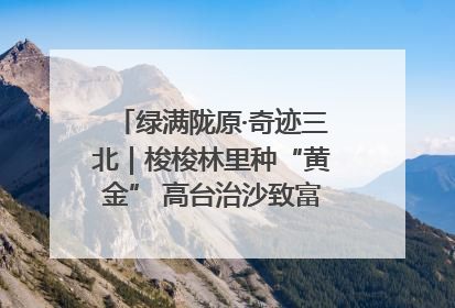 绿满陇原·奇迹三北｜梭梭林里种“黄金” 高台治沙致富很“从容”