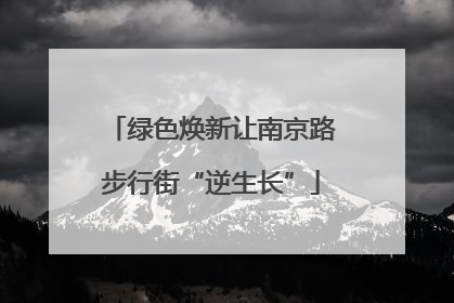 绿色焕新让南京路步行街“逆生长”
