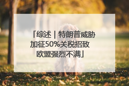 综述｜特朗普威胁加征50%关税招致欧盟强烈不满