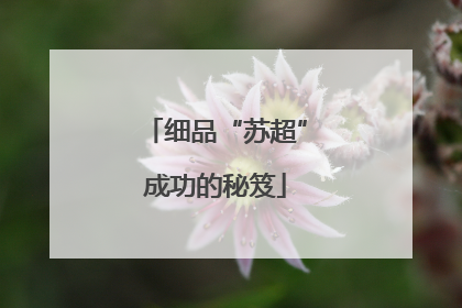 细品“苏超”成功的秘笈