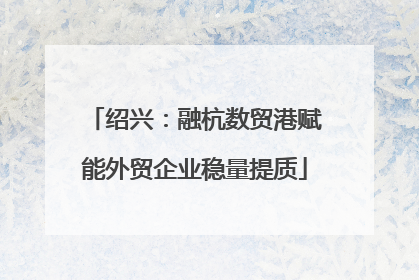 绍兴：融杭数贸港赋能外贸企业稳量提质