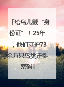 给鸟儿戴“身份证”！25年，他们守护73余万只鸟类迁徙密码