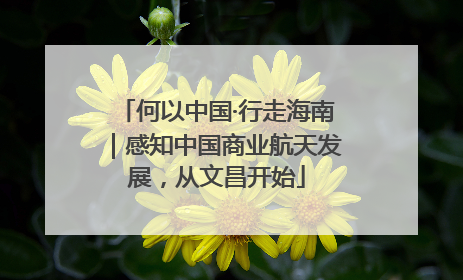 何以中国·行走海南｜感知中国商业航天发展，从文昌开始