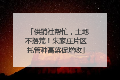 供销社帮忙，土地不撂荒！朱家庄片区托管种高粱促增收