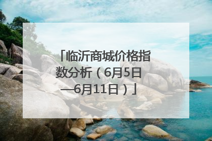 临沂商城价格指数分析（6月5日—6月11日）
