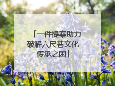 一件提案助力破解六尺巷文化传承之困