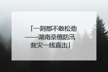 一刻都不敢松劲——湖南桑植防汛救灾一线直击