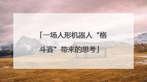 一场人形机器人“格斗赛”带来的思考