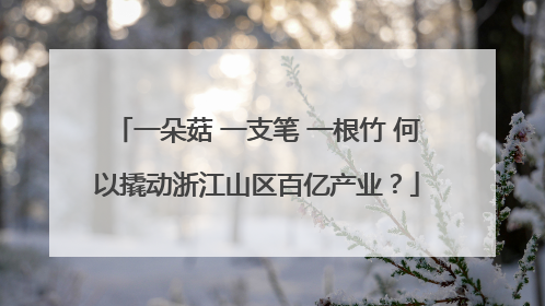 一朵菇 一支笔 一根竹 何以撬动浙江山区百亿产业？
