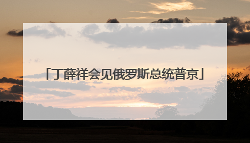 丁薛祥会见俄罗斯总统普京