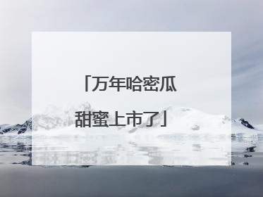 万年哈密瓜甜蜜上市了