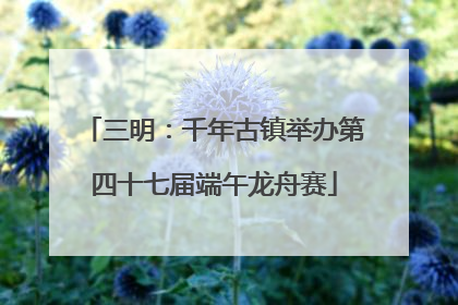 三明：千年古镇举办第四十七届端午龙舟赛