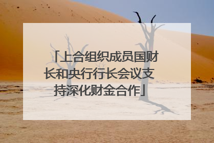 上合组织成员国财长和央行行长会议支持深化财金合作