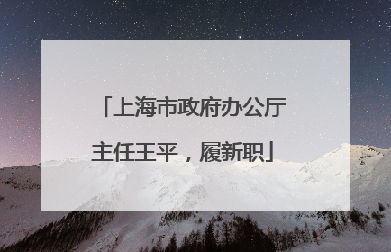 上海市政府办公厅主任王平，履新职