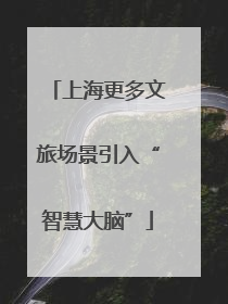 上海更多文旅场景引入“智慧大脑”