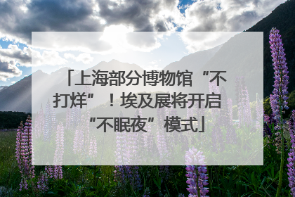 上海部分博物馆“不打烊”！埃及展将开启“不眠夜”模式