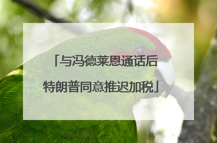 与冯德莱恩通话后 特朗普同意推迟加税