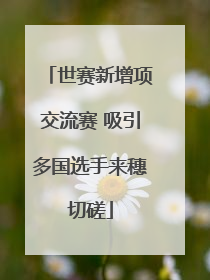 世赛新增项交流赛 吸引多国选手来穗切磋